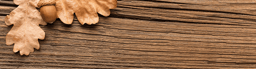 Which Wood Makes the Best Stair Treads? Ash, Oak and Walnut Compared